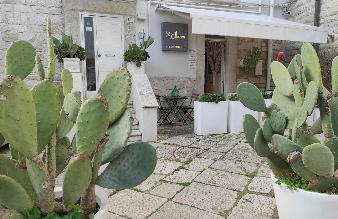 La Maison-1