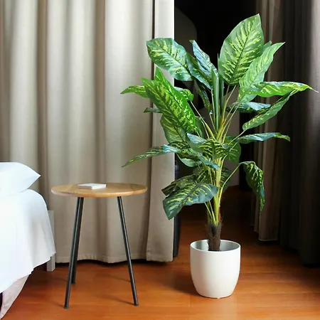 OroVerde Rooms&Suite nel cuore di Trani-2